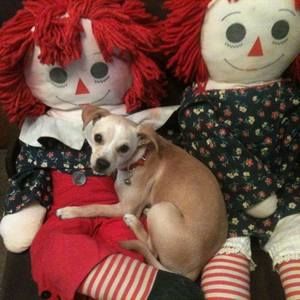 Meet your Posher, Mary